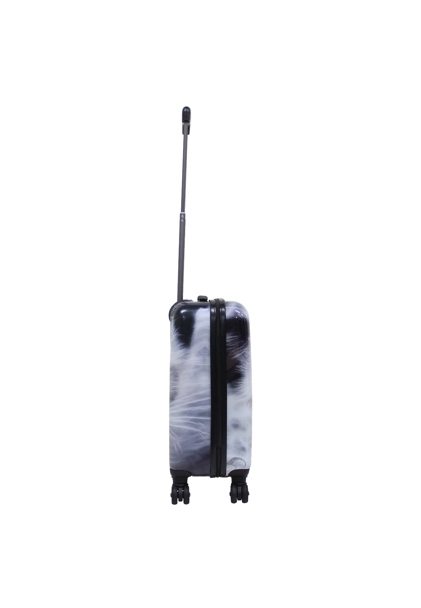 Saxoline White Cat Handgepäck Hartschalenkoffer / Trolley / Reisekoffer (Small)